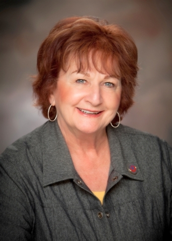 ANN HAYES