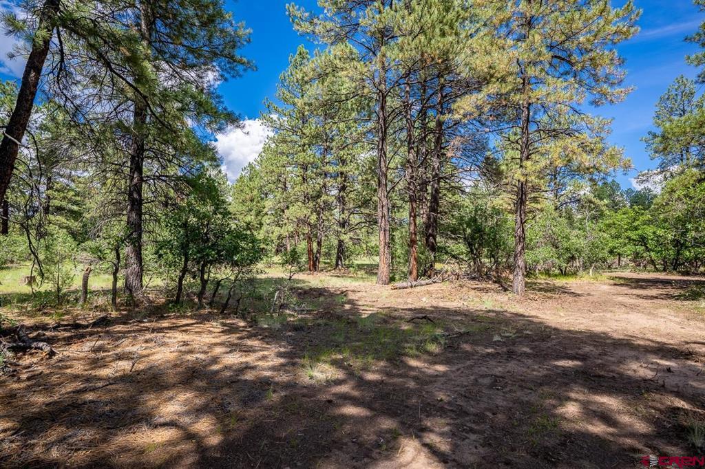 3700A County Rd 600, Pagosa Springs, CO