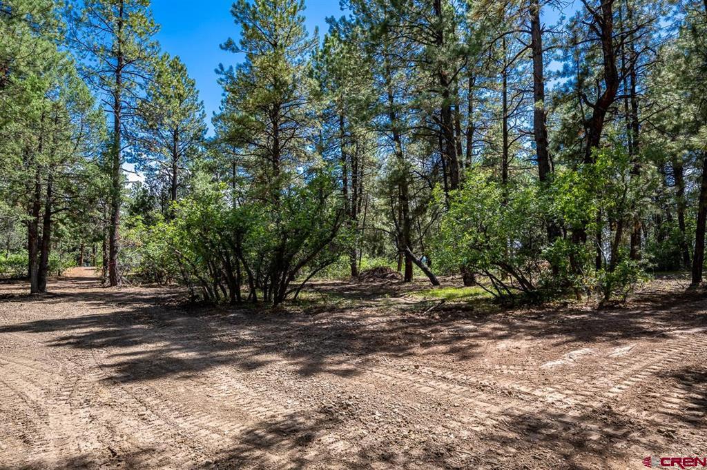3700A County Rd 600, Pagosa Springs, CO