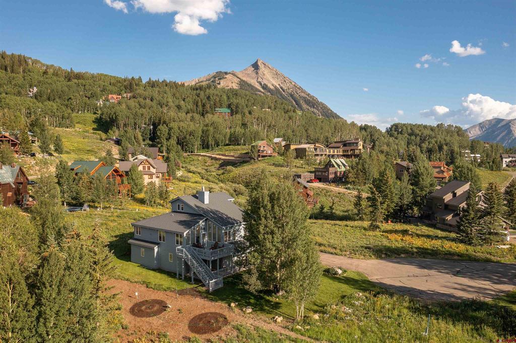 15 Daisy, Mt. Crested Butte, CO