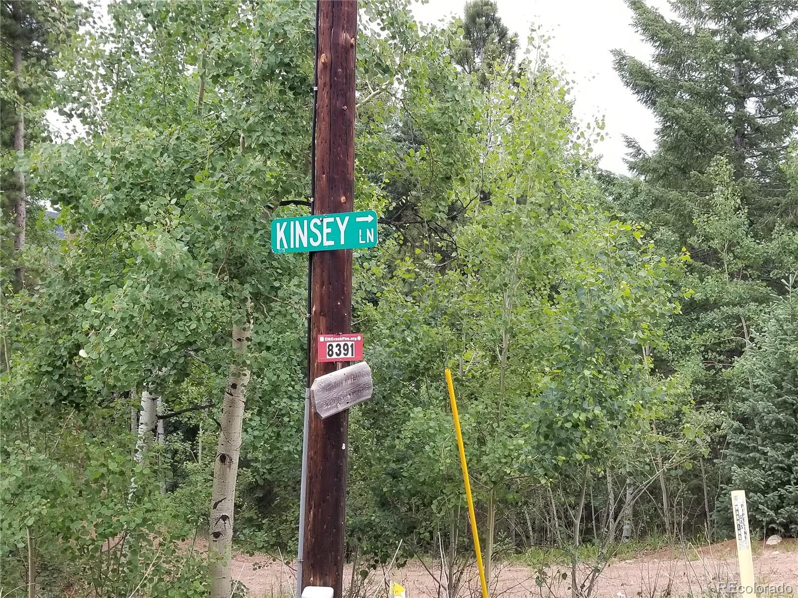 32547 Kinsey, Conifer, CO