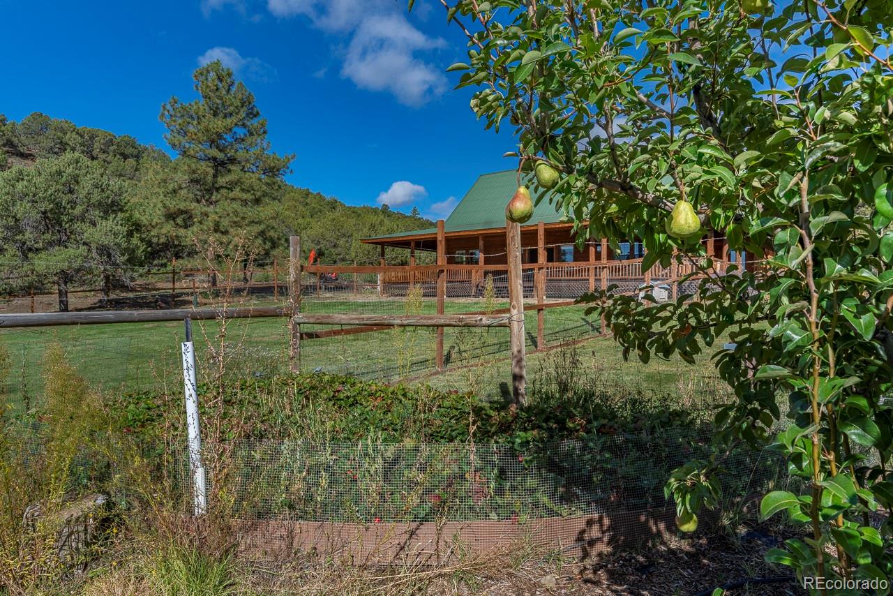 106 Winchester, Bayfield, CO