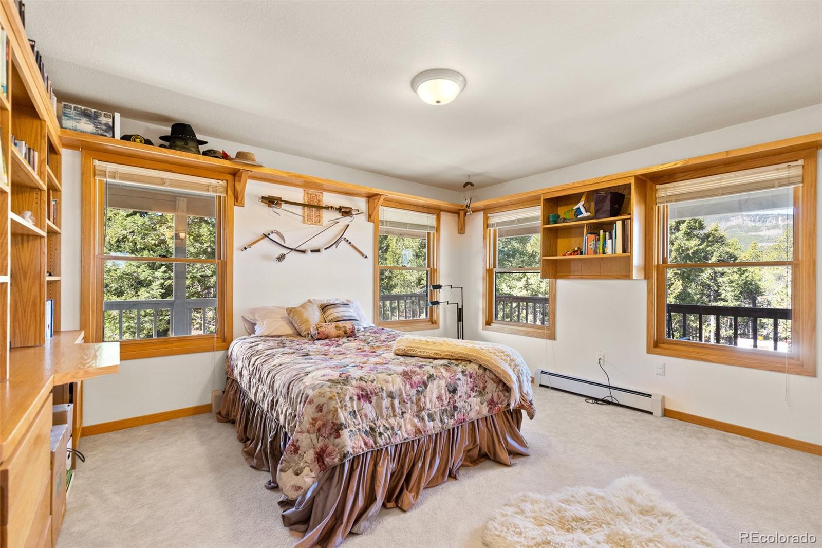 31371 Shadow Mountain, Conifer, CO