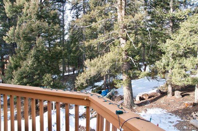 30856 Kings Valley, Conifer, CO