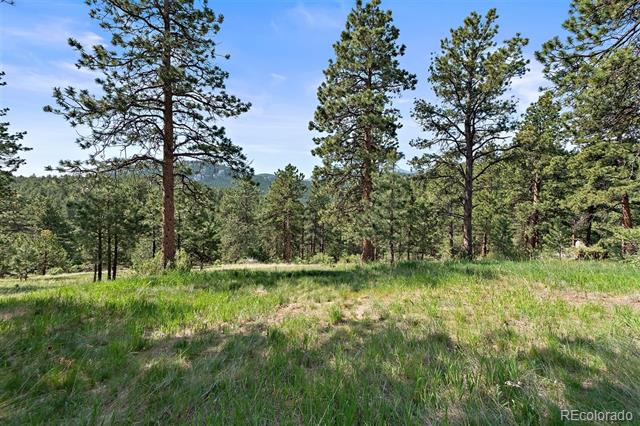 33050 Stagecoach, Evergreen, CO