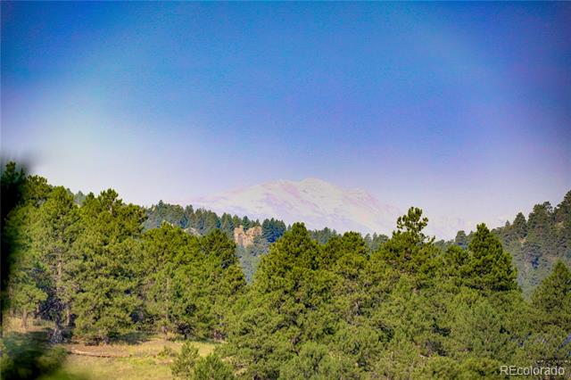 5076 Camel Heights, Evergreen, CO