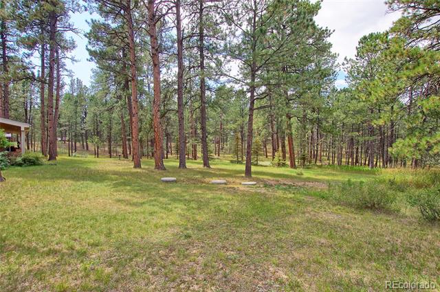 5150 High Meadows, Black Forest, CO