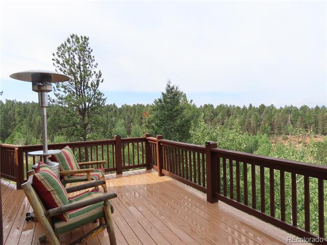 1051 Spring Valley, Florissant, CO