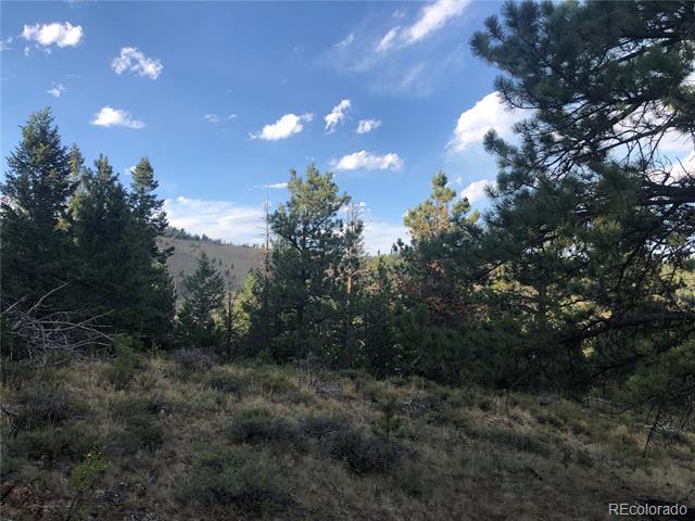 243 Hopi, Red Feather Lakes, CO