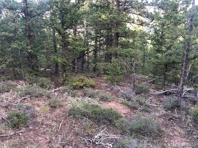 243 Hopi, Red Feather Lakes, CO