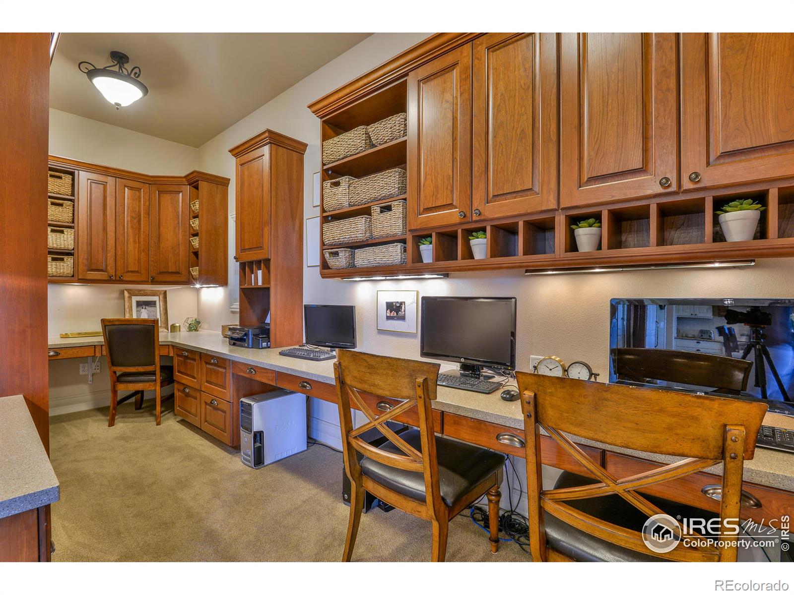 6344 Rookery, Fort Collins, CO