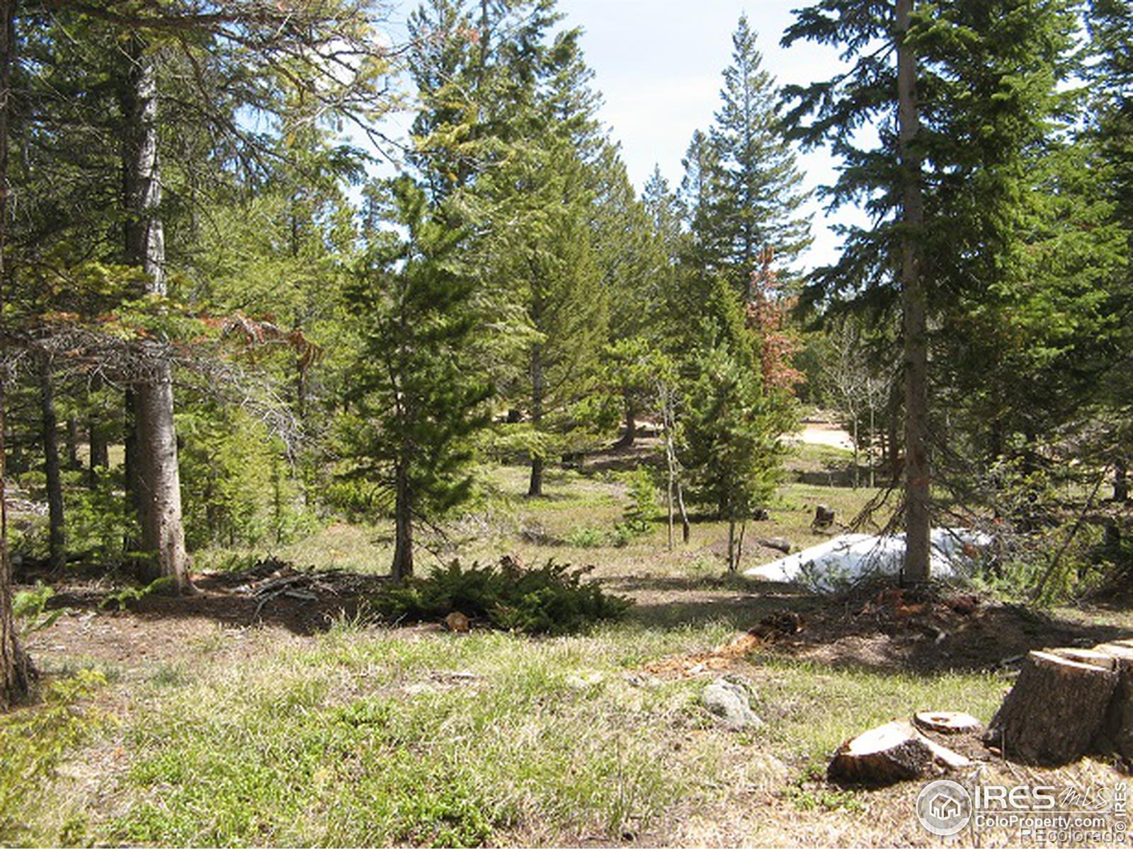 225 Jicarilla, Red Feather Lakes, CO