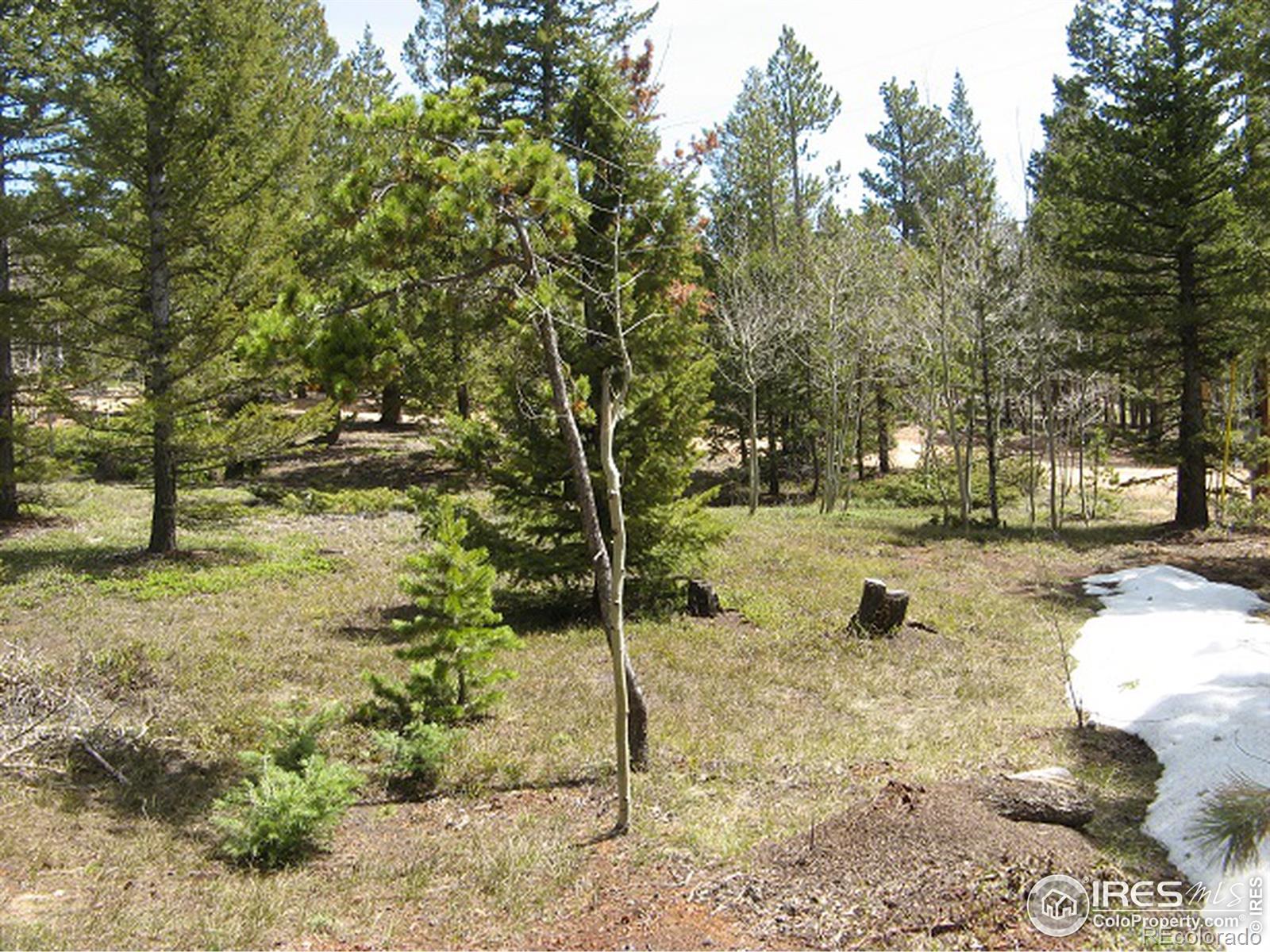 225 Jicarilla, Red Feather Lakes, CO