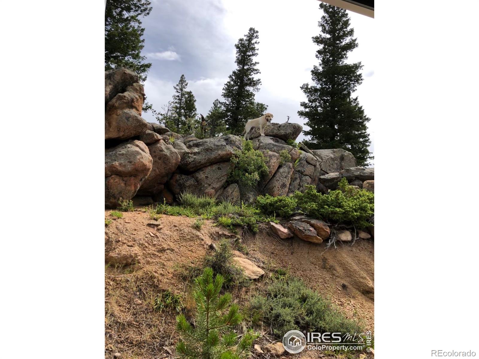 518 Crow, Red Feather Lakes, CO