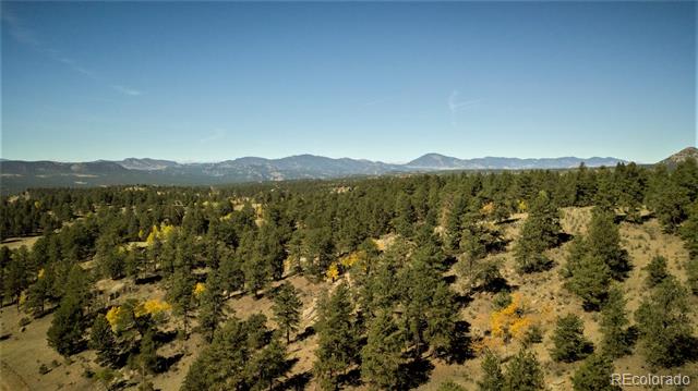 4687 Highway 24, Florissant, CO
