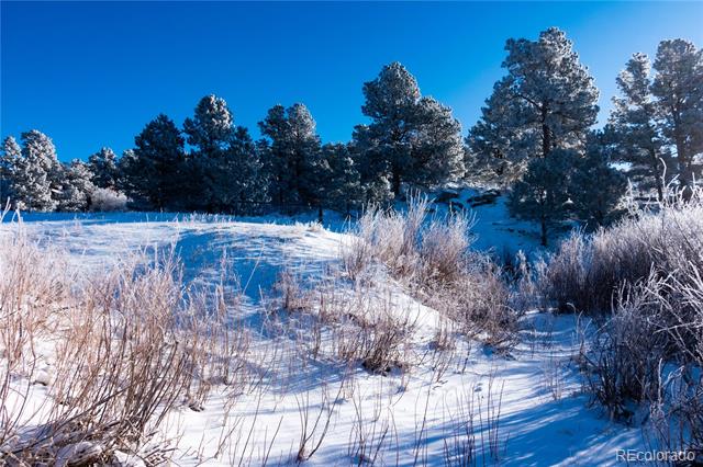 19110 White Pine, Colorado Springs, CO
