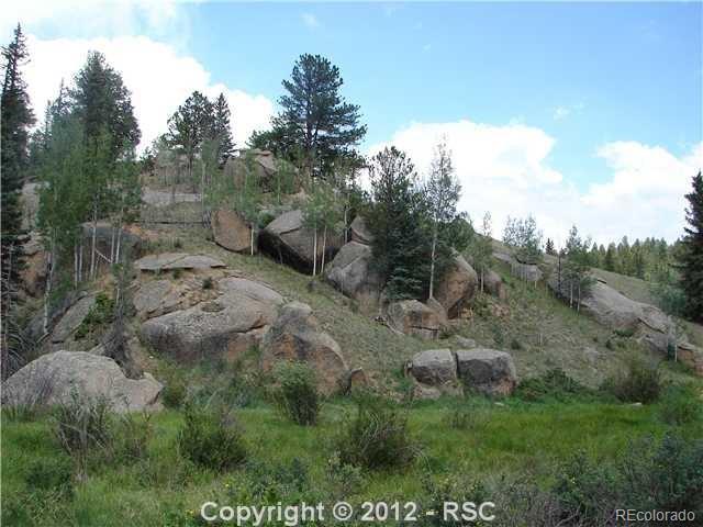 4833 County Road 5, Divide, CO