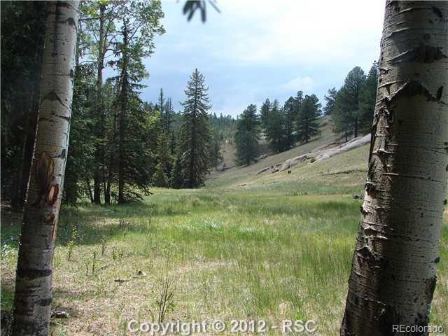 4833 County Road 5, Divide, CO