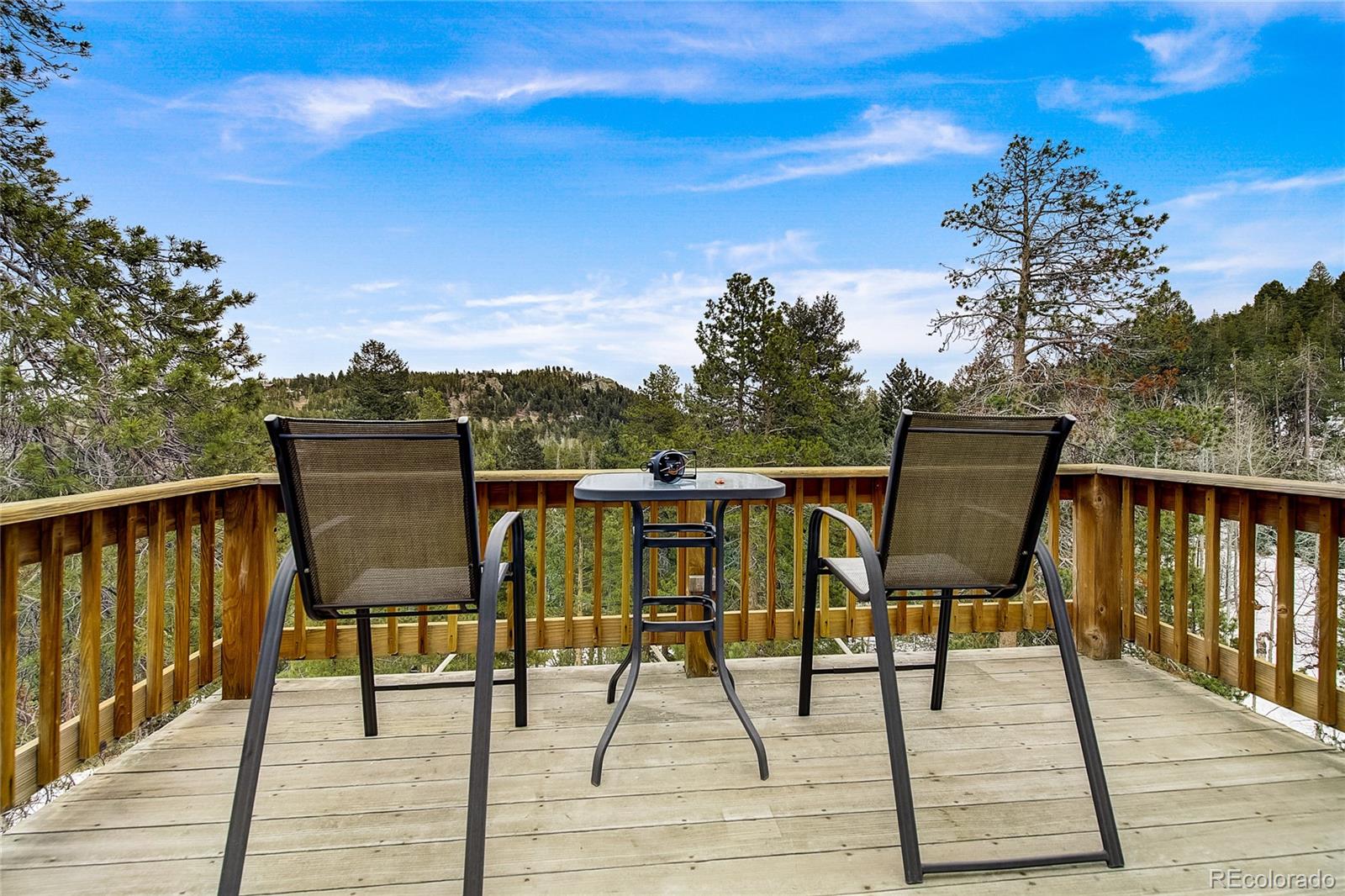 10632 Shady Pines, Morrison, CO