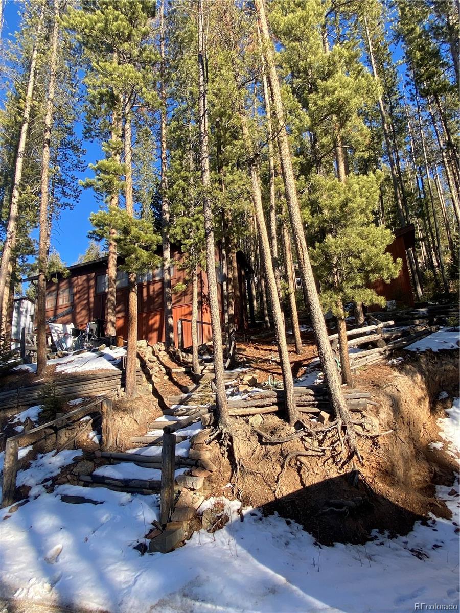 6766 Brook Forest, Evergreen, CO