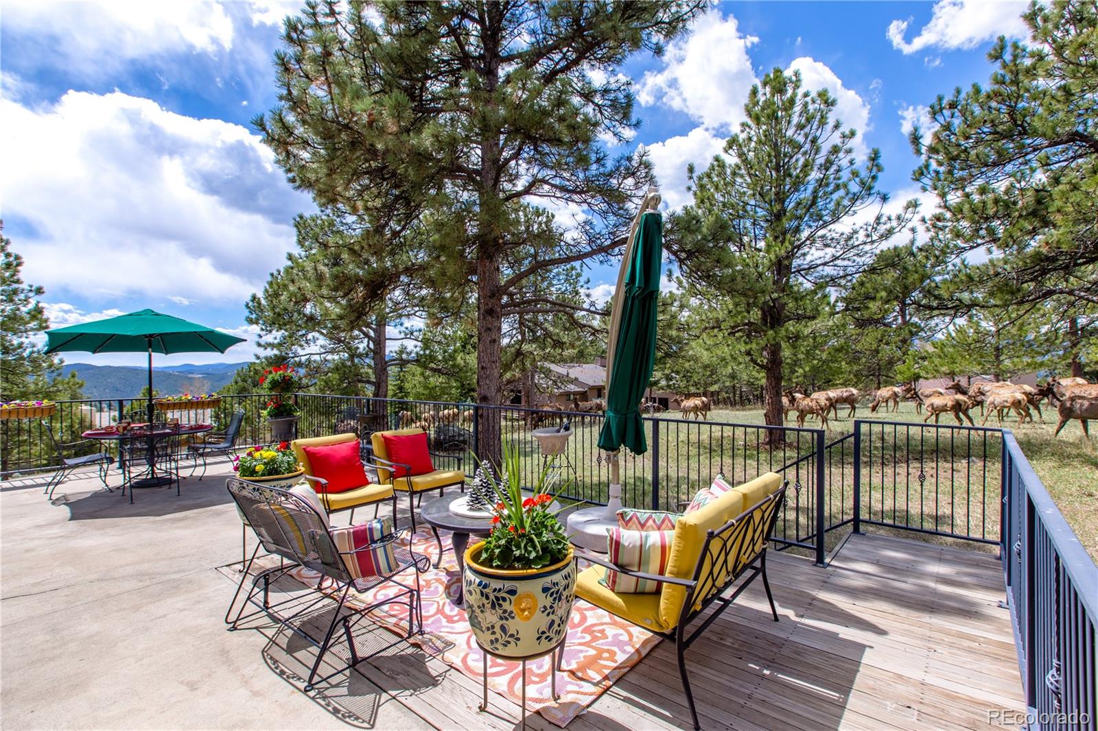 1643 Sand Lily, Golden, CO
