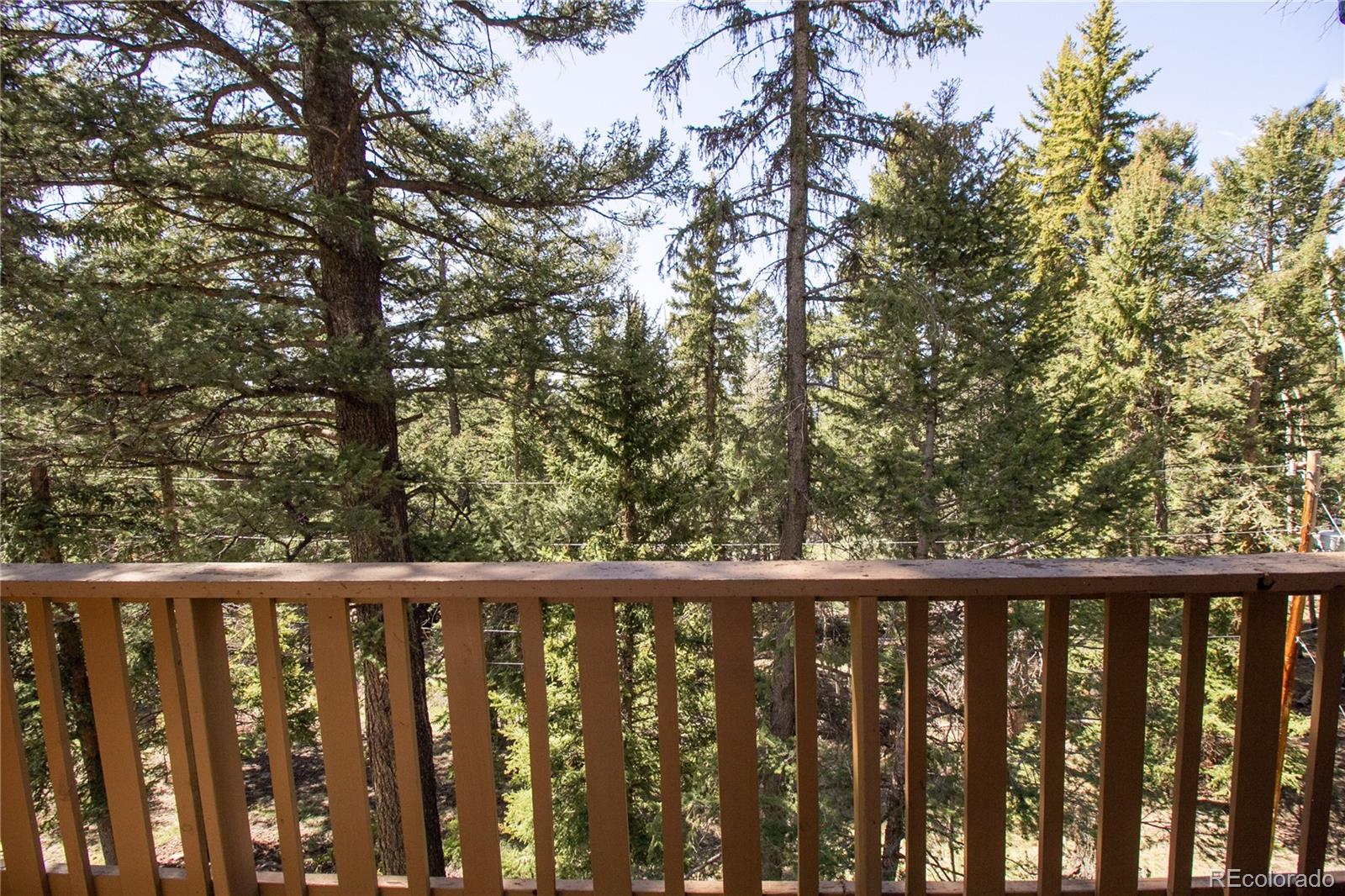 30914 Kings Valley, Conifer, CO