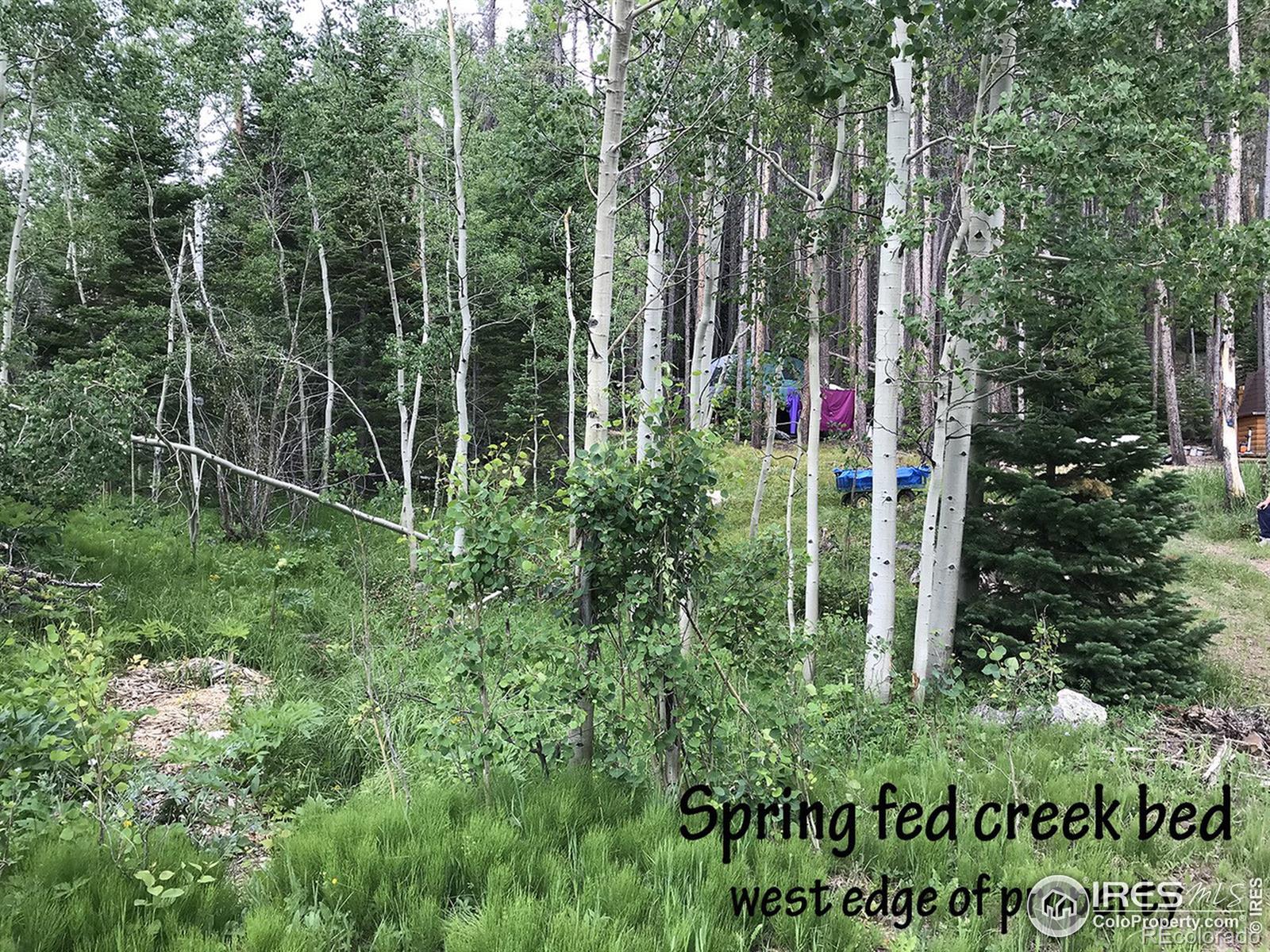 71 Fox, Red Feather Lakes, CO