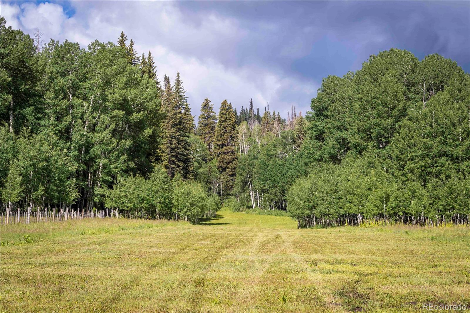 11923 County Road 265, Paonia, CO