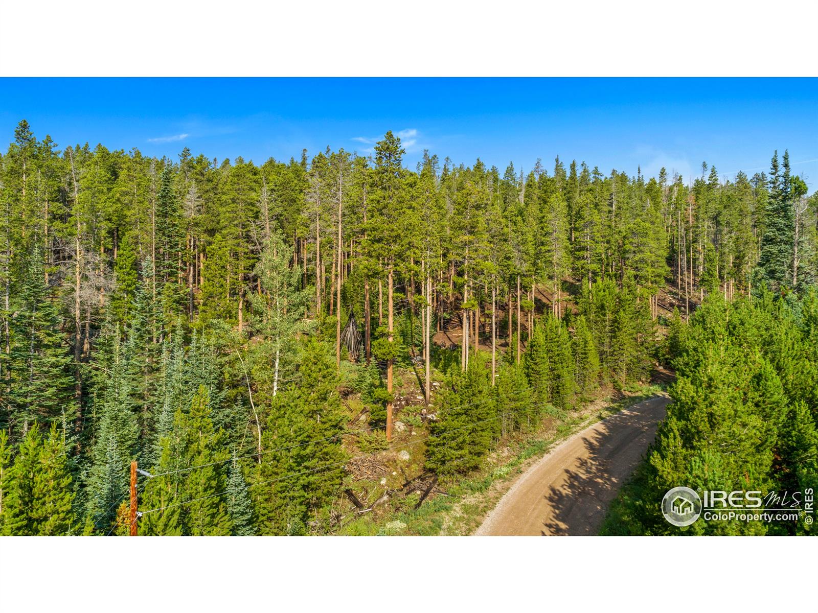 451 Shoshoni, Red Feather Lakes, CO