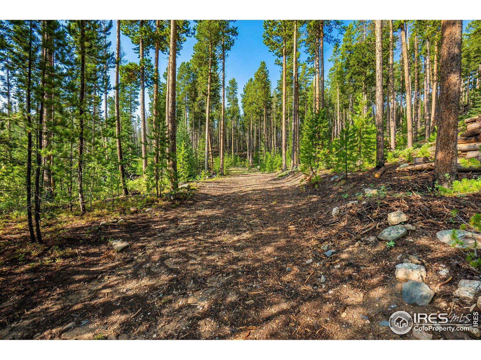 451 Shoshoni, Red Feather Lakes, CO