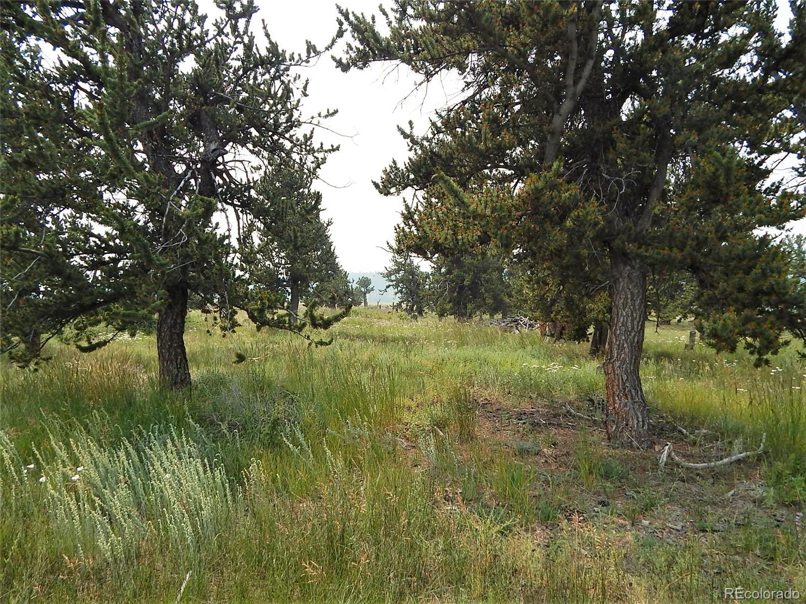 1828 MULLENVILLE, Fairplay, CO
