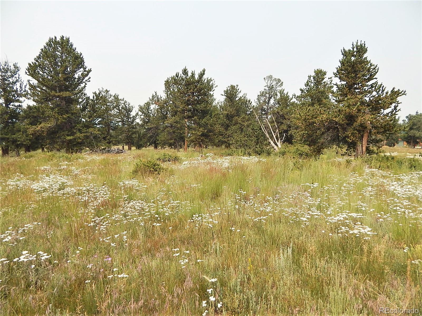 1828 MULLENVILLE, Fairplay, CO