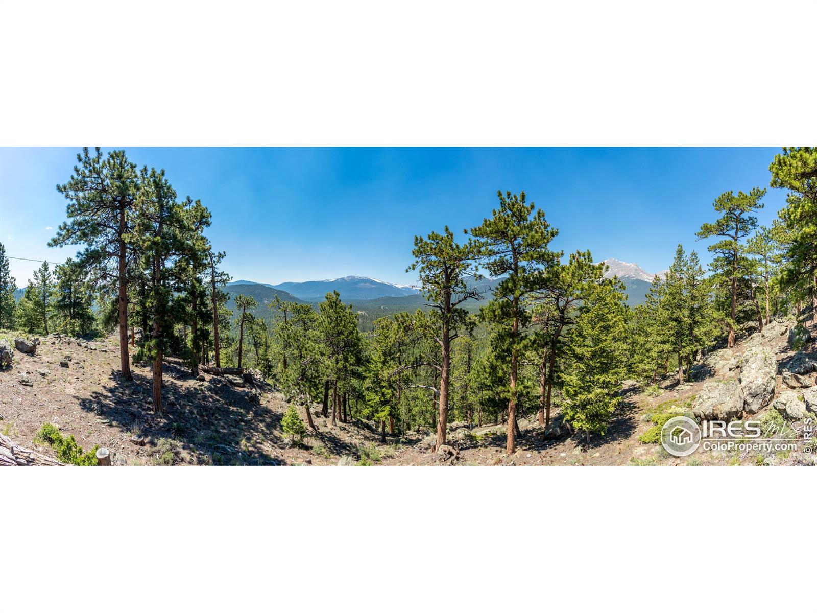 1420 Coyote Hill, Allenspark, CO