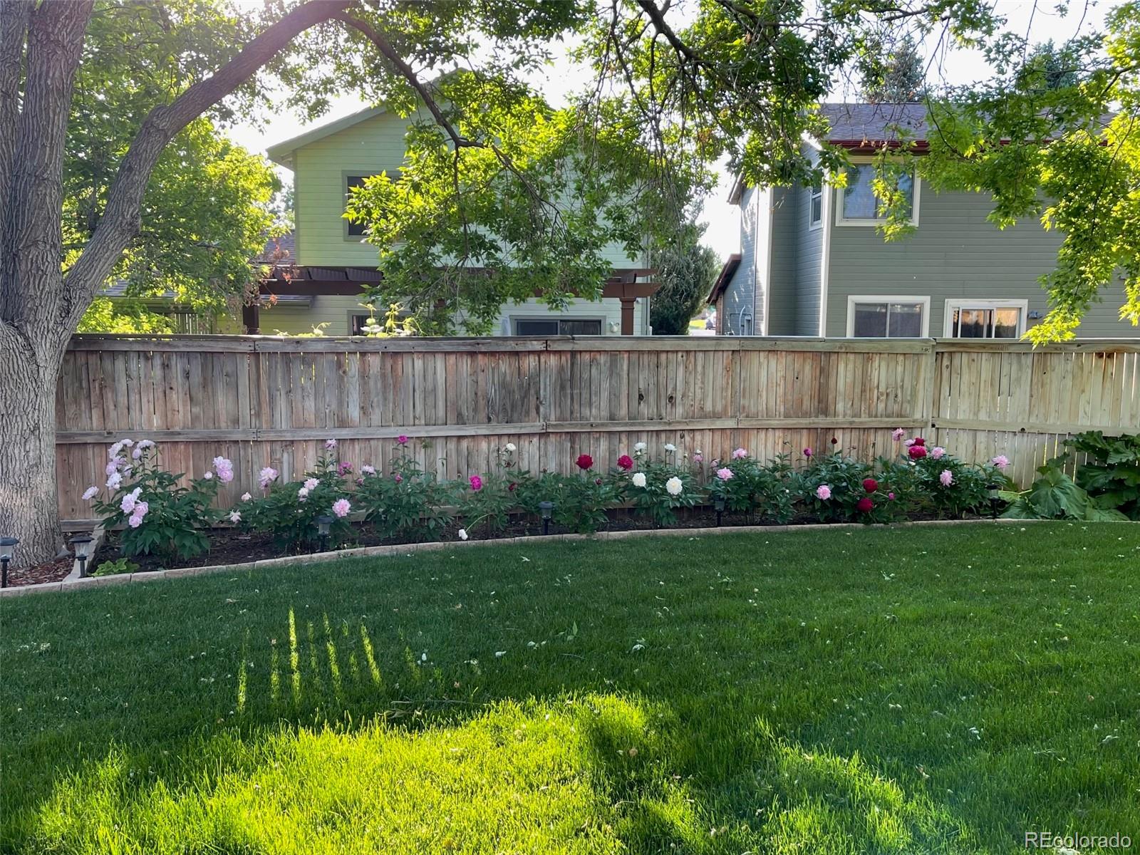 9164 Bitterweed, Highlands Ranch, CO