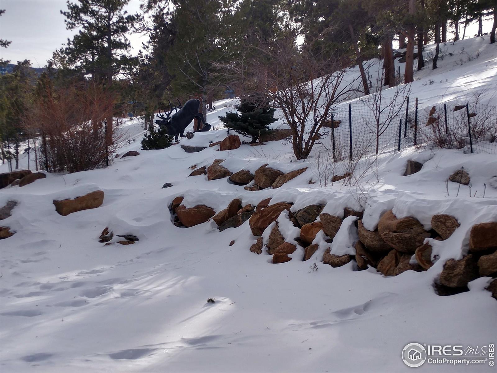 2855 Grey Fox, Estes Park, CO