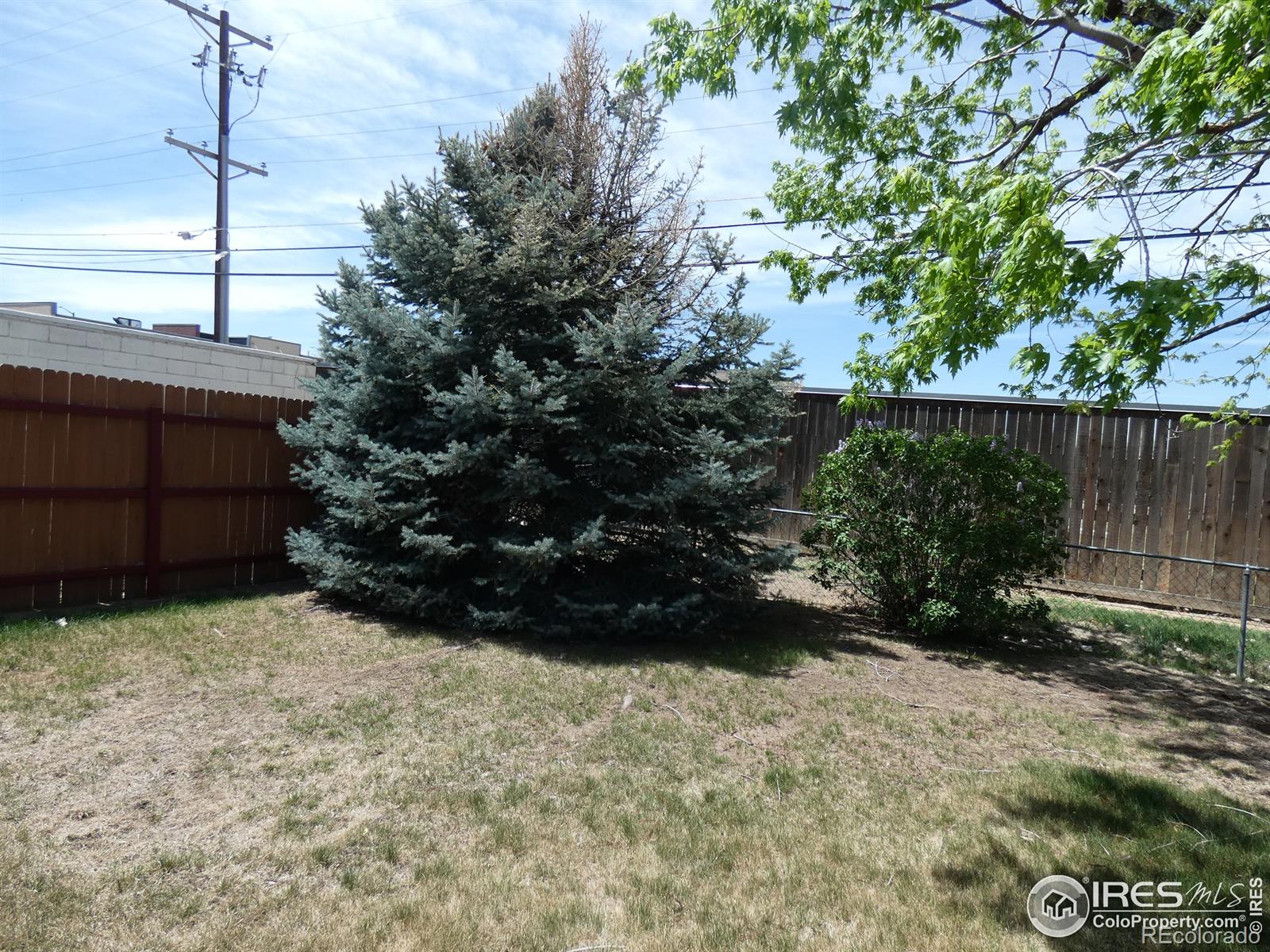 831 28th, Greeley, CO
