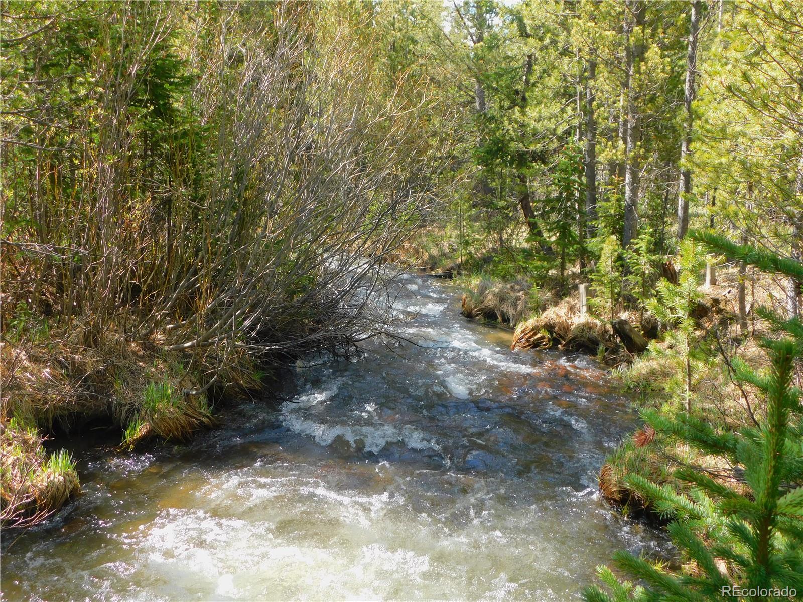  Silver Creek, Idaho Springs, CO