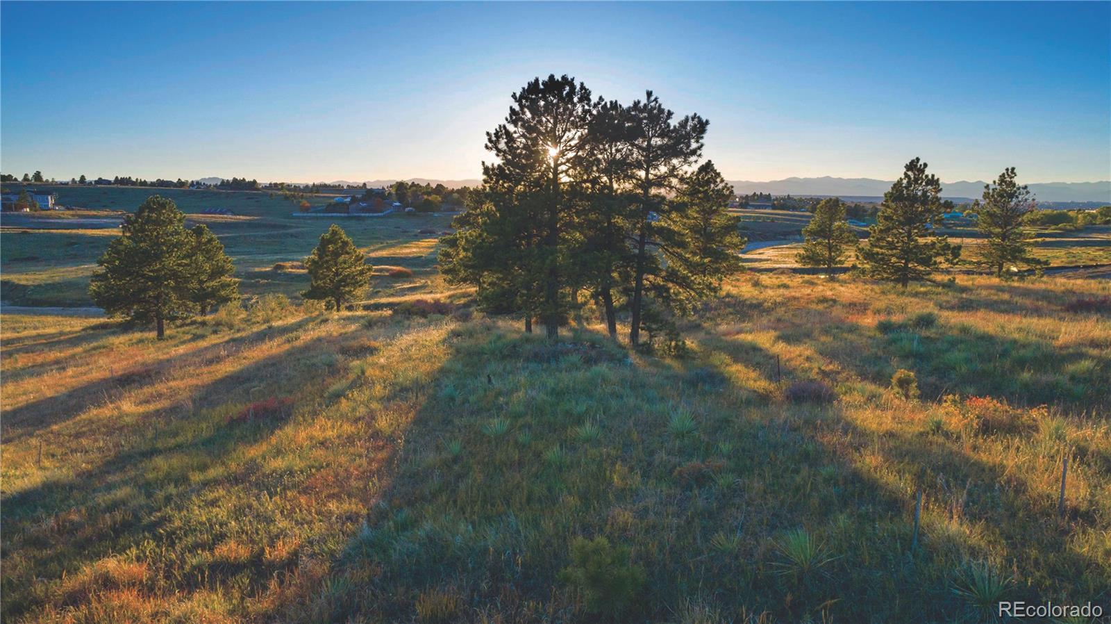 8263 Merryvale, Parker, CO