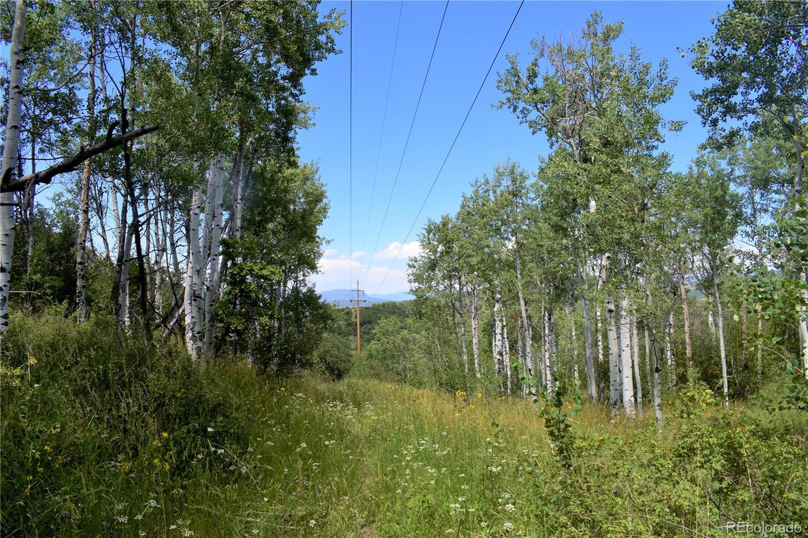  County Road 179, Lot 23, Steamboat Springs, CO