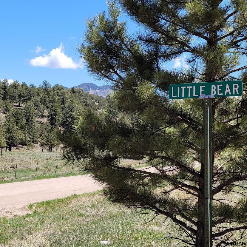 207 Little Bear Drive, Westcliffe, CO