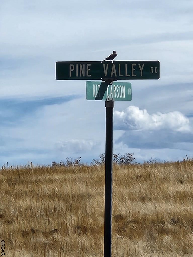 85 Pine Valley Road, Texas Creek, CO